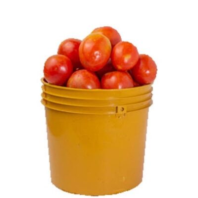 Fresh Tomatoes